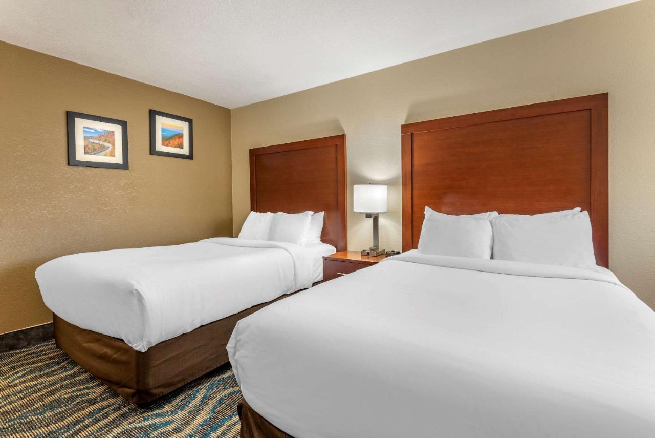Comfort East-blue Ridge Pkwy Access 3* Asheville